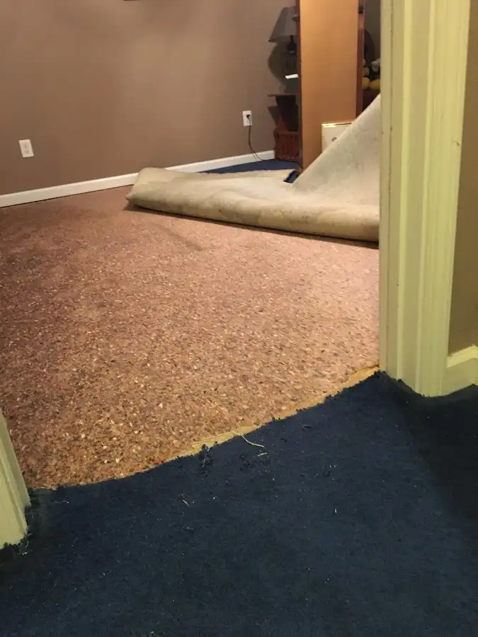Carpet pad removal revealing water damage during Water Mitigation Services in Manlius
